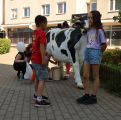 Urodziny Sceny po sąsiedzku., foto nr 14, 