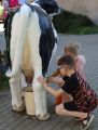 Urodziny Sceny po sąsiedzku., foto nr 27, 
